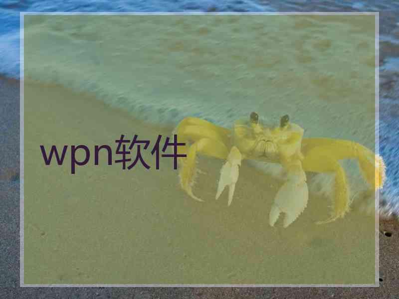 wpn软件