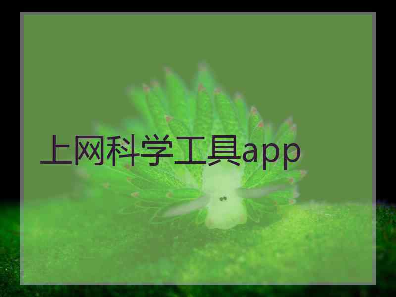 上网科学工具app