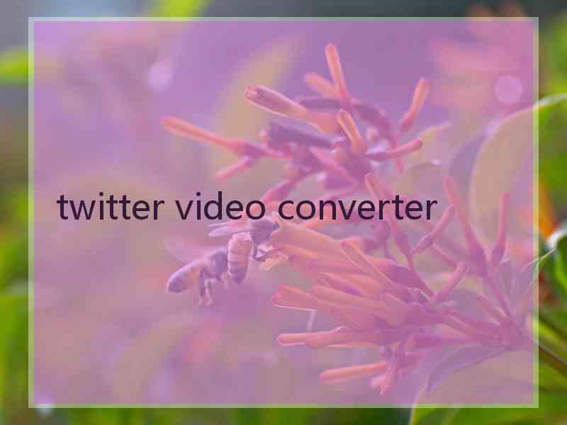 twitter video converter