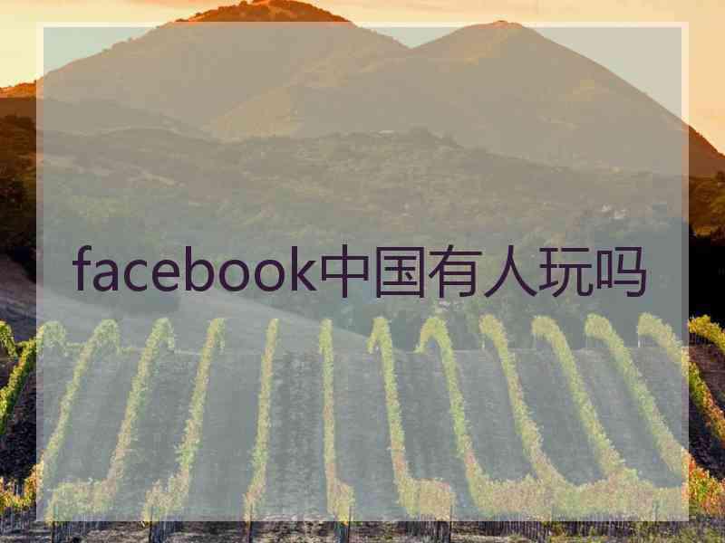 facebook中国有人玩吗