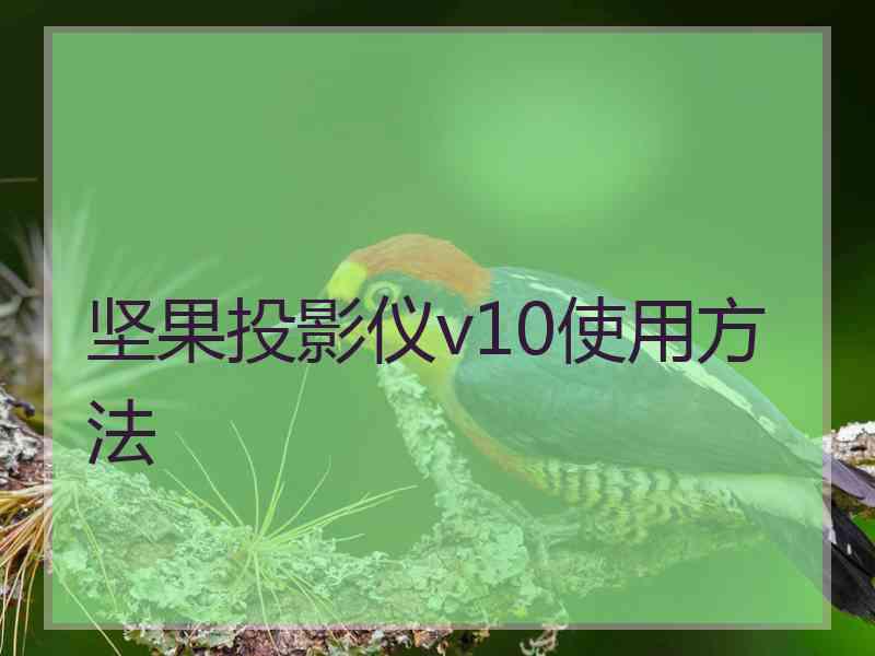 坚果投影仪v10使用方法