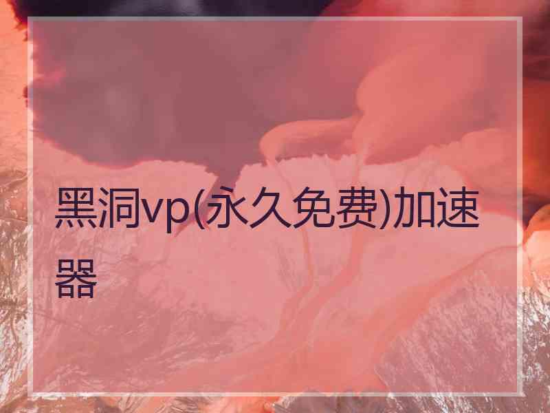 黑洞vp(永久免费)加速器