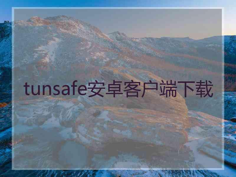 tunsafe安卓客户端下载