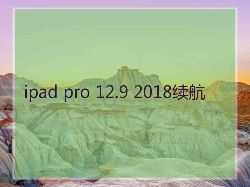 ipad pro 12.9 2018续航