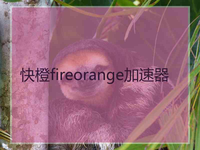 快橙fireorange加速器