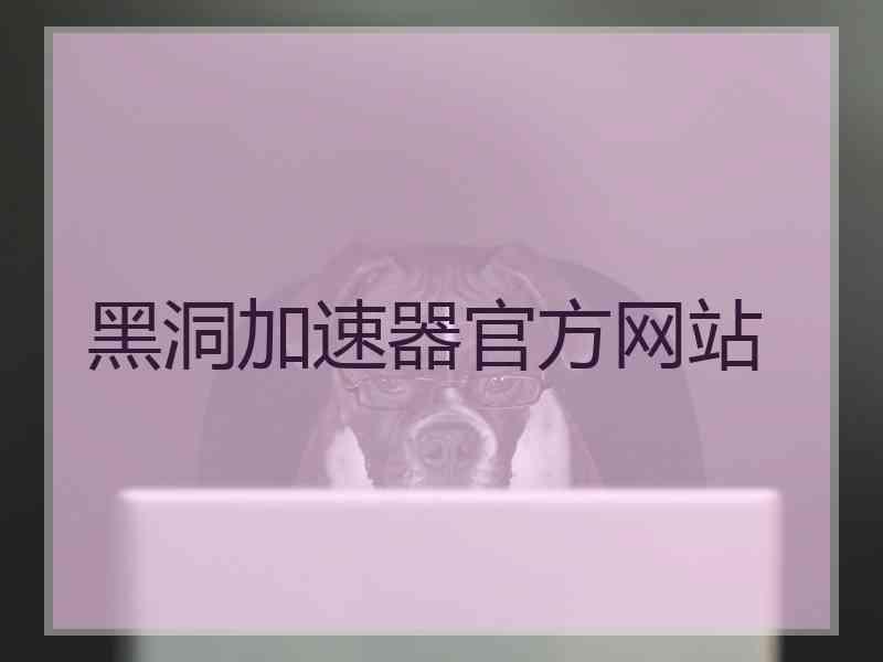 黑洞加速器官方网站