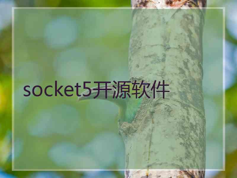 socket5开源软件