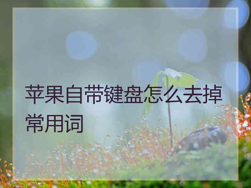 苹果自带键盘怎么去掉常用词