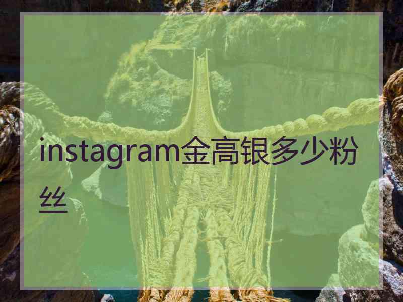 instagram金高银多少粉丝