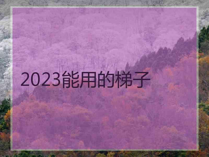 2023能用的梯子