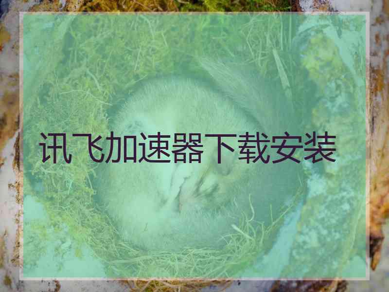 讯飞加速器下载安装