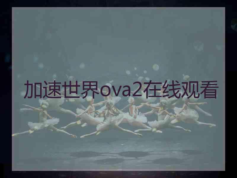 加速世界ova2在线观看