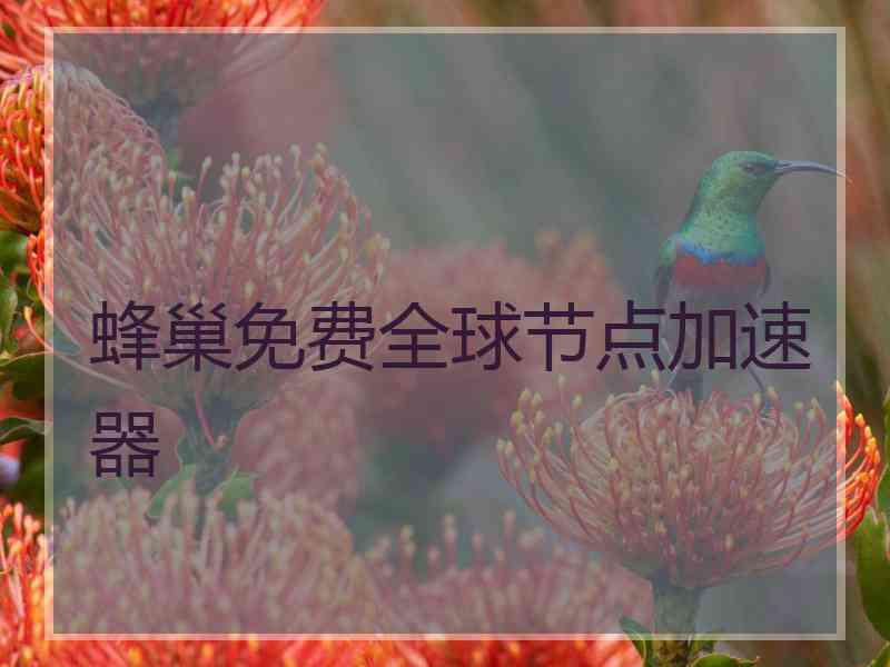 蜂巢免费全球节点加速器