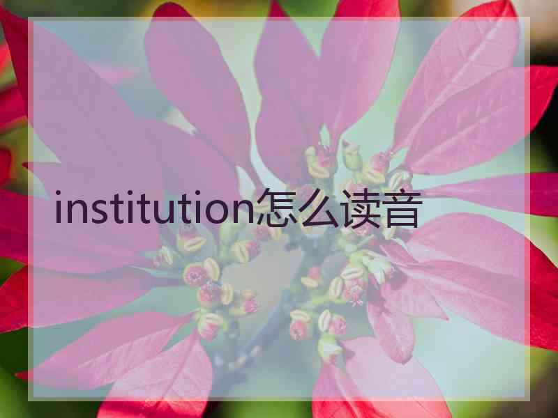 institution怎么读音