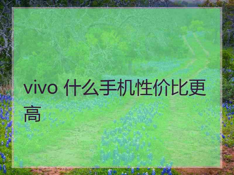 vivo 什么手机性价比更高