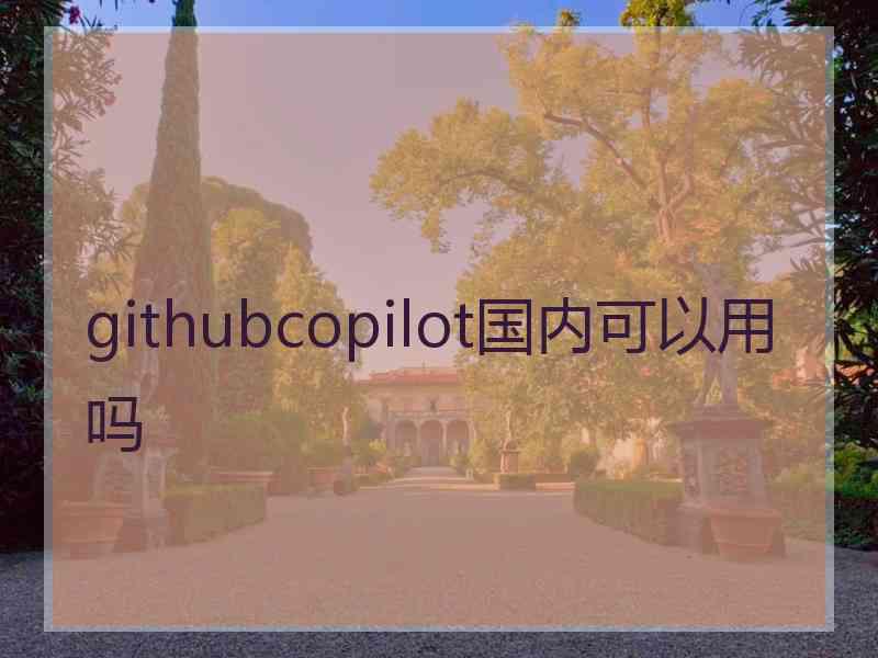 githubcopilot国内可以用吗