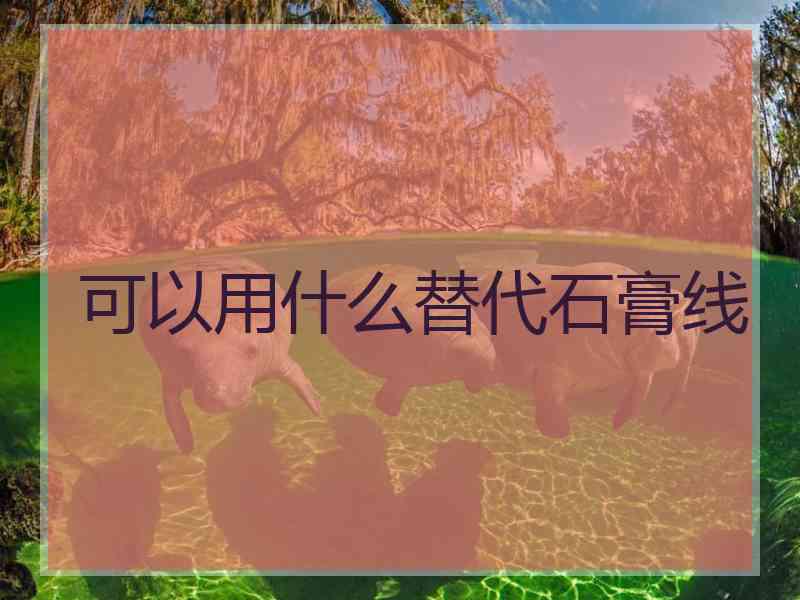 可以用什么替代石膏线