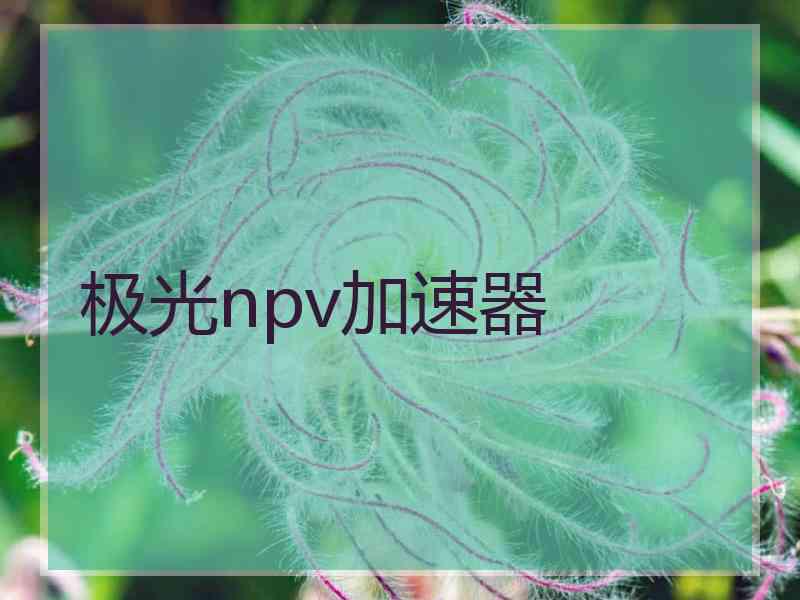 极光npv加速器