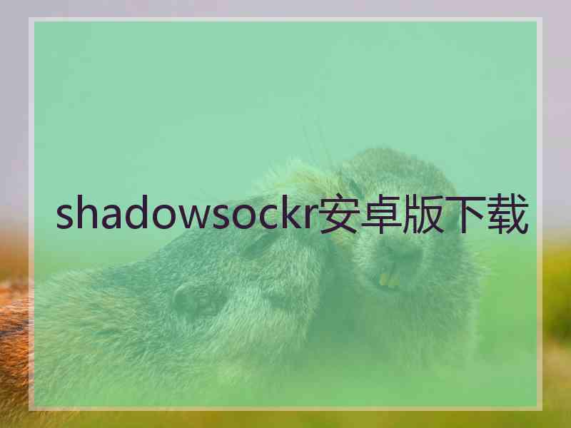 shadowsockr安卓版下载