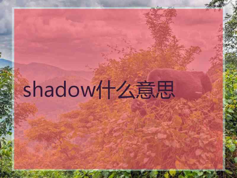 shadow什么意思