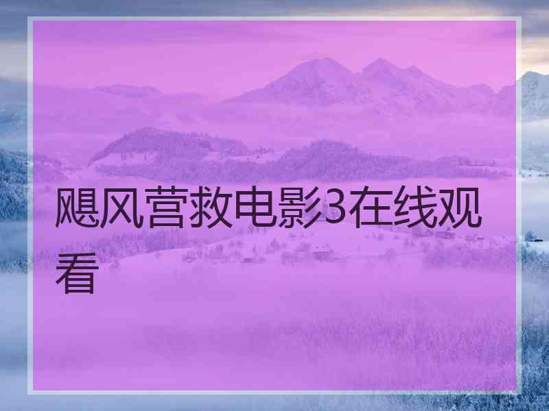 飓风营救电影3在线观看