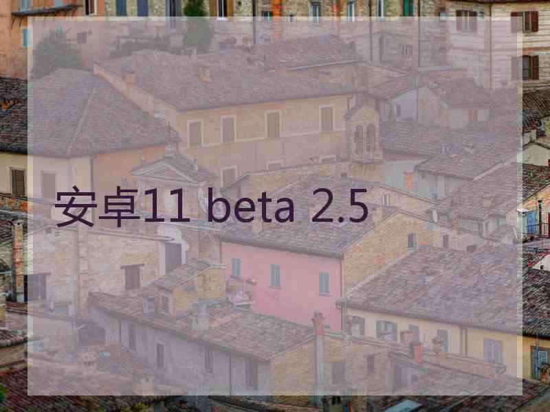 安卓11 beta 2.5