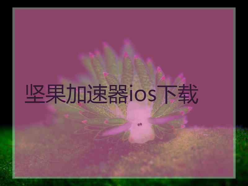 坚果加速器ios下载