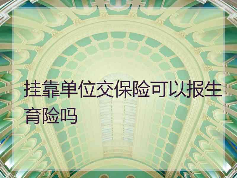 挂靠单位交保险可以报生育险吗