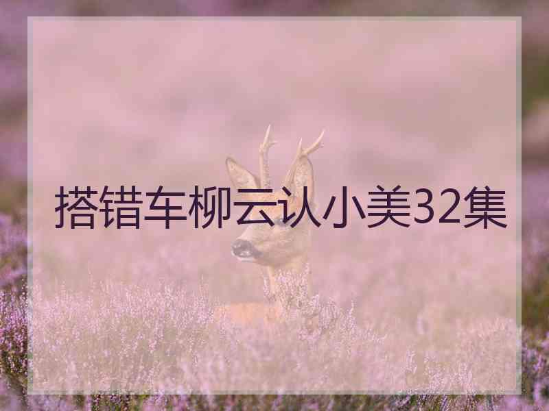 搭错车柳云认小美32集