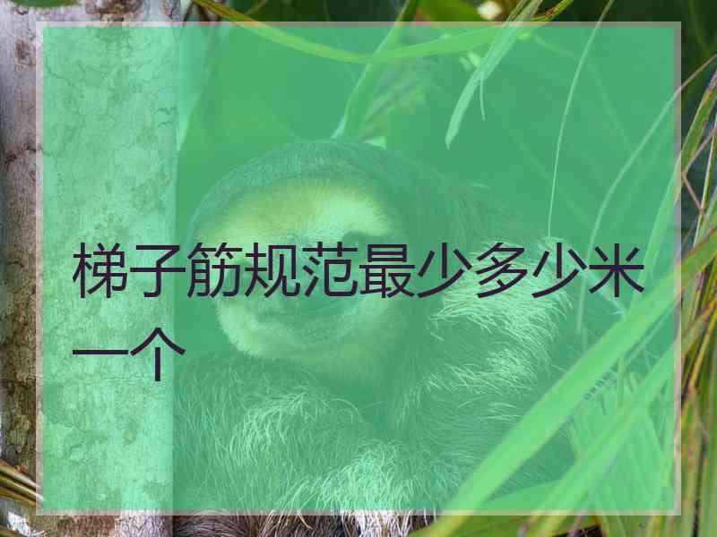 梯子筋规范最少多少米一个