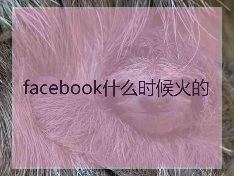 facebook什么时候火的