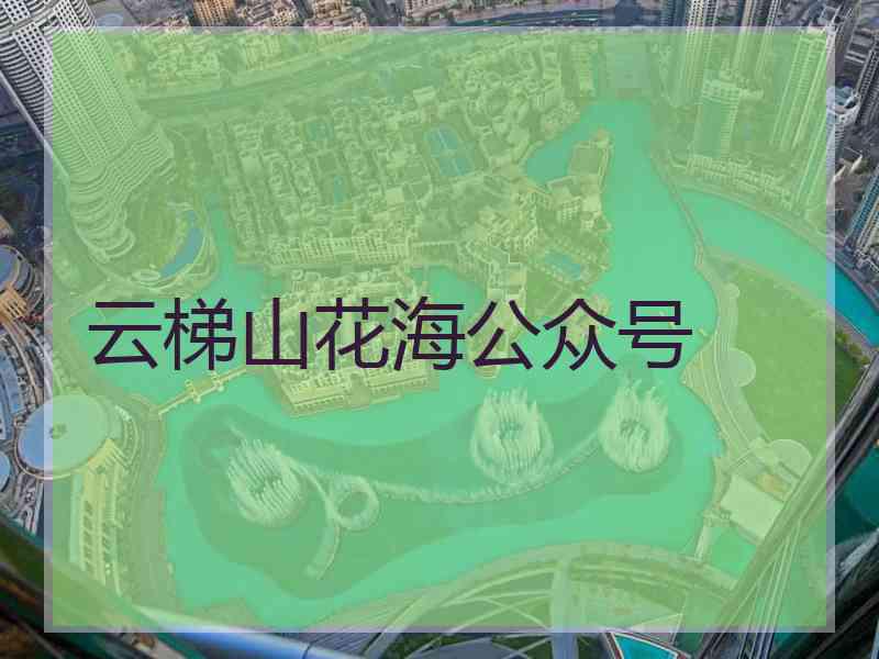 云梯山花海公众号