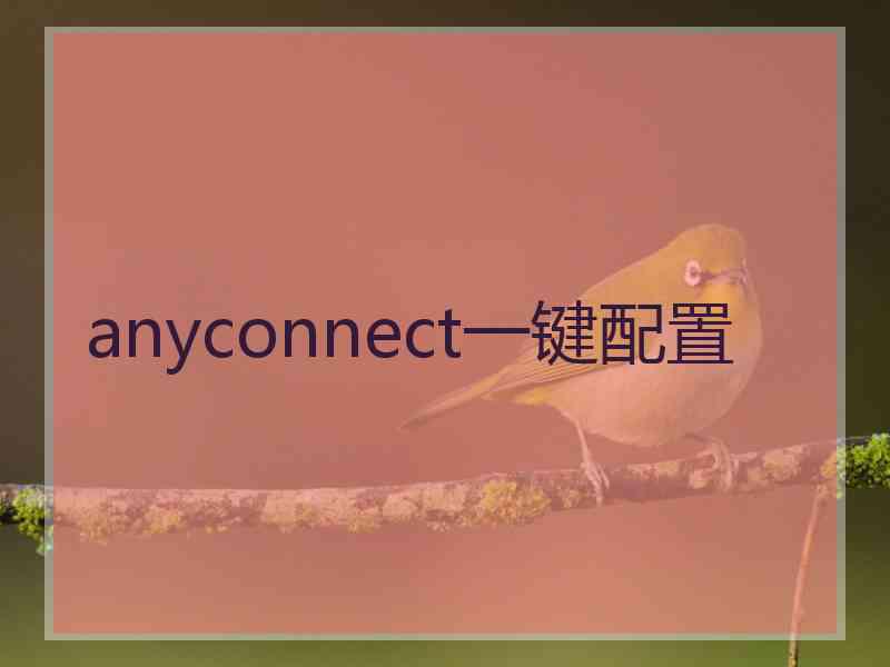 anyconnect一键配置