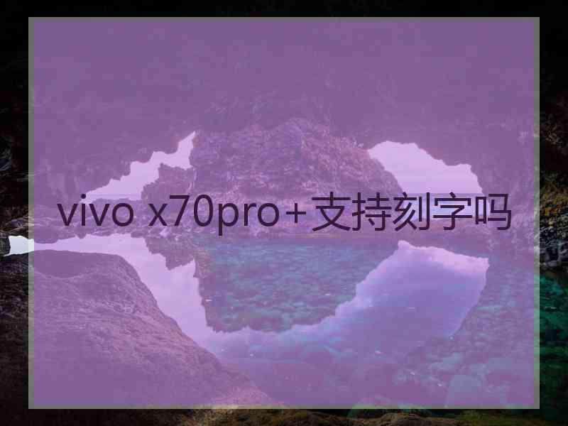 vivo x70pro+支持刻字吗