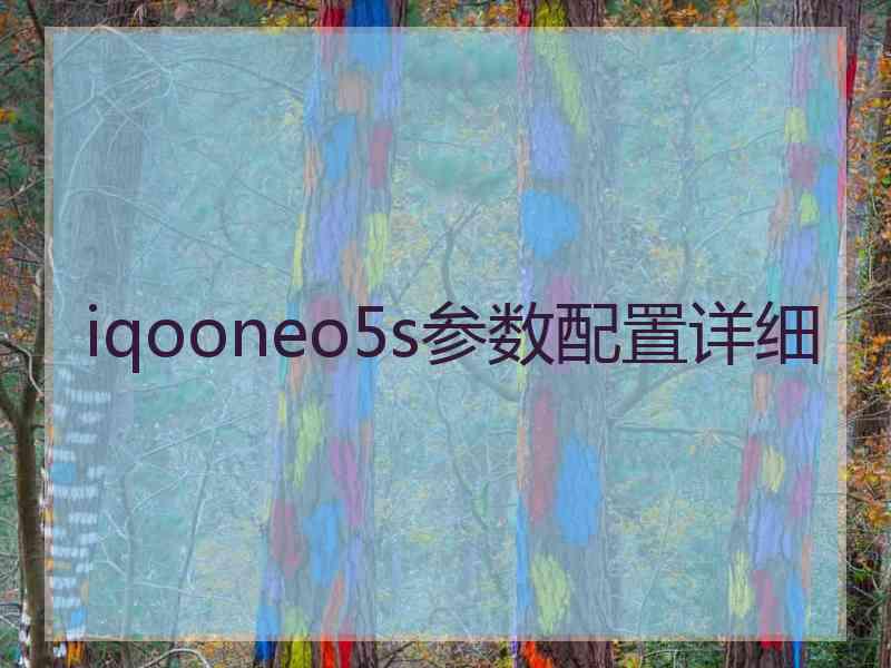 iqooneo5s参数配置详细