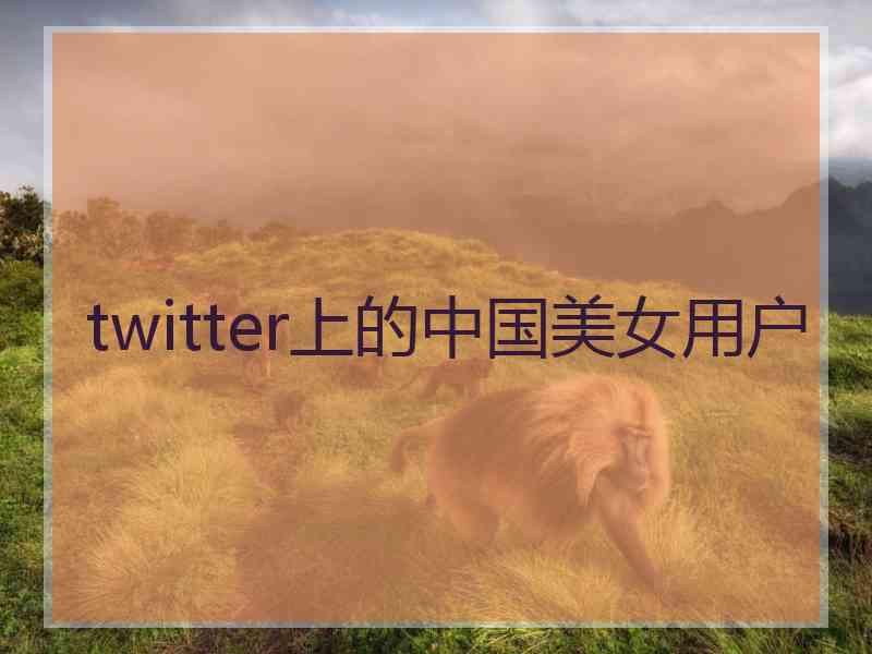 twitter上的中国美女用户