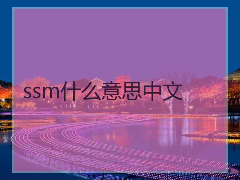 ssm什么意思中文